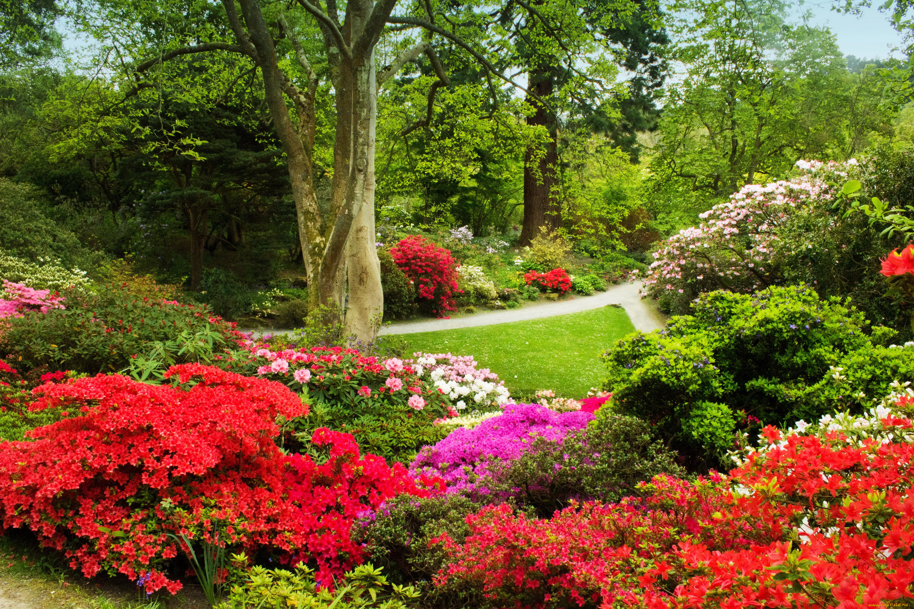 bodnant gardens , , , bodnant, gardens, wales, , 